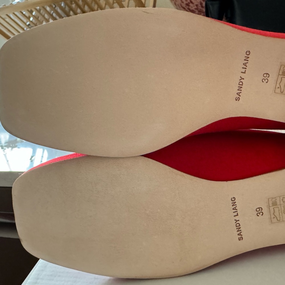MARY JANE BALLET FLAT - Sandy Liang - Picture 5 of 6